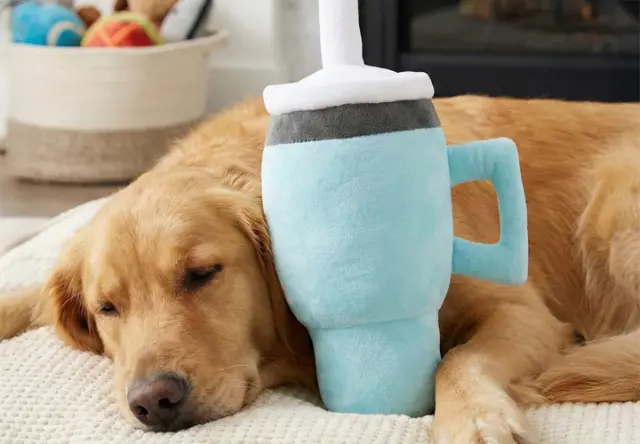 Golden retriever opiera głowę na pluszowej zabawce w kształcie napoju, relaksując się w przytulnym salonie.