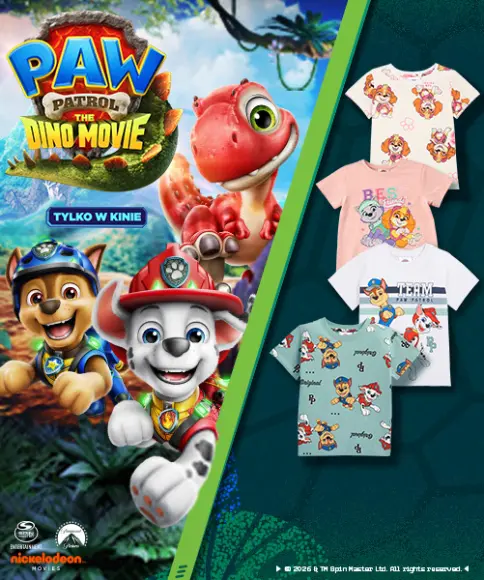 Dziecięce T-shirty PAW Patrol z ulubionymi bohaterami filmu PAW Patrol: Dino Movie dla chłopców i dziewczynek