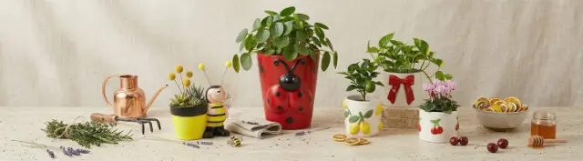 Dekoracyjne doniczki i osłonki z roślinami oraz akcesoria ogrodowe ułożone na stole – wprowadzają świeże, kolorowe akcenty i naturalny klimat do domu Dekoracyjne doniczki i osłonki z roślinami oraz akcesoria ogrodowe ułożone na stole – wprowadzają świeże, kolorowe akcenty i naturalny klimat do domu